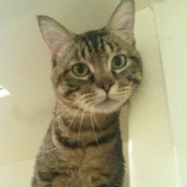 D 58aac291 2671 41df 8262 745677a15732