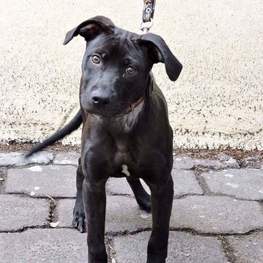 D 751dad82 00e2 42a9 a205 885f50720e18