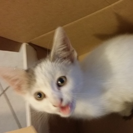 D 66e686aa 800e 41b6 a3c6 ad0bd1fe1640