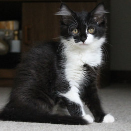 D 494e9bef e17f 4ac6 b7b8 cdeea0b0019e