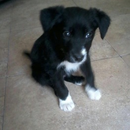 D 0451006a d1ae 46c5 8c1f 1b19878fd593