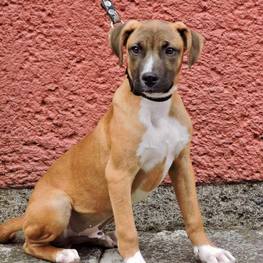 D fa41a57e 10ef 4864 ae45 7fe578ea033e