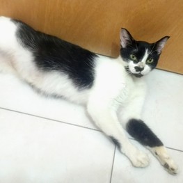 D 57b6e988 2e8a 4478 8d27 9380db8c9f11