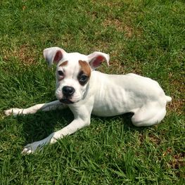 D 18bfc05a b7d5 4aa5 ab28 77f743c739bb