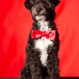 D 76babb19 3b14 435c ae02 6150addc9a5c