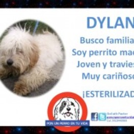 D f53a58b2 2b02 4024 ae80 7b992a4dbb93