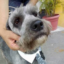 D 8cffc8ac e951 4e4f a2d3 6f8029fe2e3a