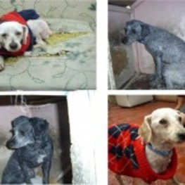 D 3d78394f 3171 4f96 9704 21635964de35