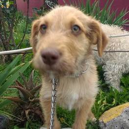 D f39891ad 1bd0 4f8b 925c 330aa9739c18