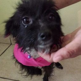 D e6704ebf 6a36 4b5b a1da 8d3afb898e88