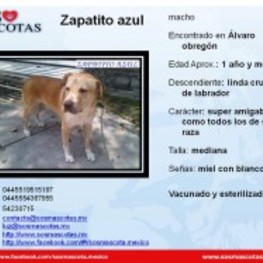 D 6a6912b9 f5ad 4161 8f76 c825388d0732