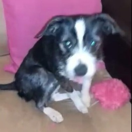 D 7d22c8e7 d330 4814 bf68 c4471ac15da8