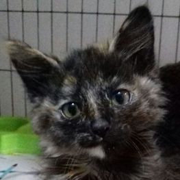 D 29b3f80a 4ca3 4010 9590 aaed3a4654b6