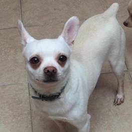 D dece21ea a5d7 4735 9f16 969585e8bd83