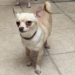 D 7660b299 e2d1 4975 a1aa f26e91f0c20e