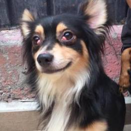 D c2b9c20c 2193 410c 9bc0 fa5f81eaa2db