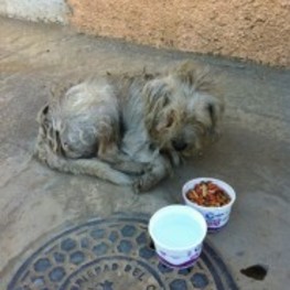 D cd033e54 a06f 4a70 9718 4f9059062d48