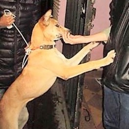 D fcf52ee7 81d1 46c6 b24d 4c7c6f718744