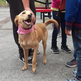 D 15acc49f 9dd5 42be ad92 417126488b90