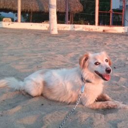 D e7d95b32 02fb 4622 ae90 9c883fa1b9e4