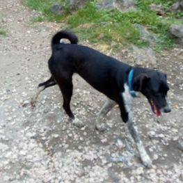 D 0fe30f57 205b 4e42 8b63 cb1f12bd8fe7