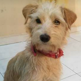 D c2a090fd b366 4136 b0fb ebc5cde3c7bb