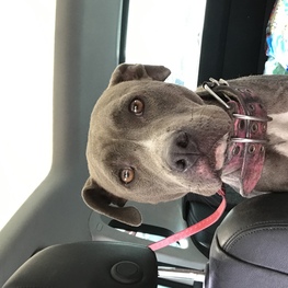 D 66d2770a b25b 4ab4 8d57 25feb26958a4