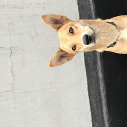 D d0db4478 4566 4a06 8bd7 a9267a963b08