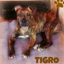 D 9b20d2a8 aefb 4896 ac18 c5b337bd4d50