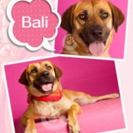 D bc14cd3a 57f7 4cca 99e7 a5d04a456036