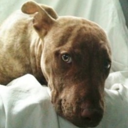 D bec2d011 7a93 4082 9c11 94ec87c9053b