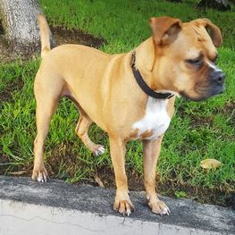 D db9769ed c187 445a 82fd eeb8ceb0d567