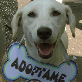 D 9d59453f 42e1 4db8 806d 945ae493f141