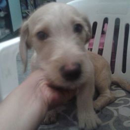 D 6c287e96 b752 4768 b3d1 1d5862958523