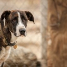 D 22825ee8 c811 4468 9da6 219f1e571a17