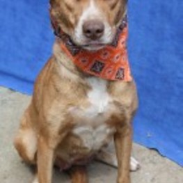 D 167e094d 9c48 4178 8525 c9efcf5af84c