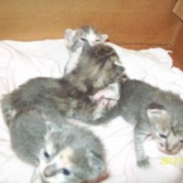 D c1de21ce 4ee7 4102 99e5 2d08edfd59f0