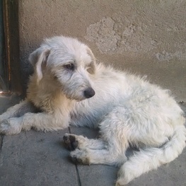 D 2c179228 e2d3 4e26 b091 9ce7bed1f153