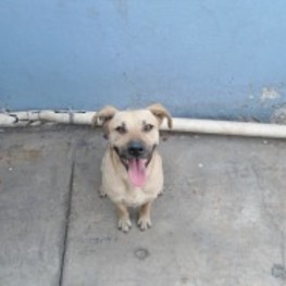 D ca7818df 2e6a 401f 94a9 4766cca30003