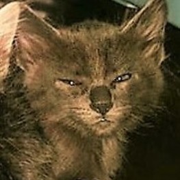 D 6aa9ebf5 e706 4e7b bc15 0c0c09fb429c