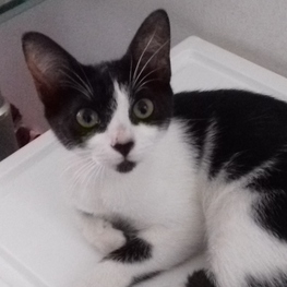 D eb0648c9 8351 44ac 90b1 837a8a215f5a