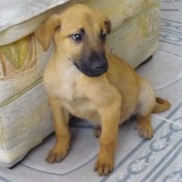 D 5cab9596 146a 4259 88d5 0b4bc10f60ce