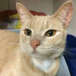 D 46d4c0c4 bd92 4551 a507 9522c4be2222