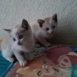 D 97b5122c 30dd 4b67 bbb5 50256c3227b6