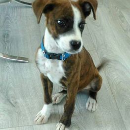 D ba89b3b1 f18d 4520 a823 b6a3ce9254ff