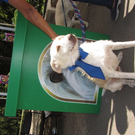 D d0cac176 95a7 4245 9b62 25aedc7095b8