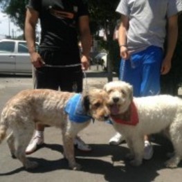 D 14dc4e03 2bfb 409a 9372 977a852f4f1a