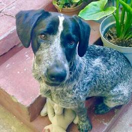 D fb5d4881 455d 41ec a730 0b31b8fb55d2