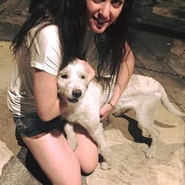 D 8c5fb17b 7e41 448e 8d44 ec5e2ae5d852