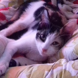 D 89d10637 f5a2 4fac 978e 6c8e97870ffd